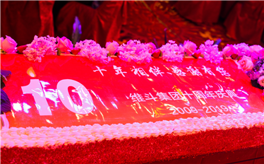 热烈祝贺维斗集团十周年庆典隆重举行